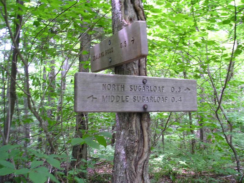 Sugarloaf (8).jpg - At the top of the ridge we decided to go to Middle Sugarloaf first.